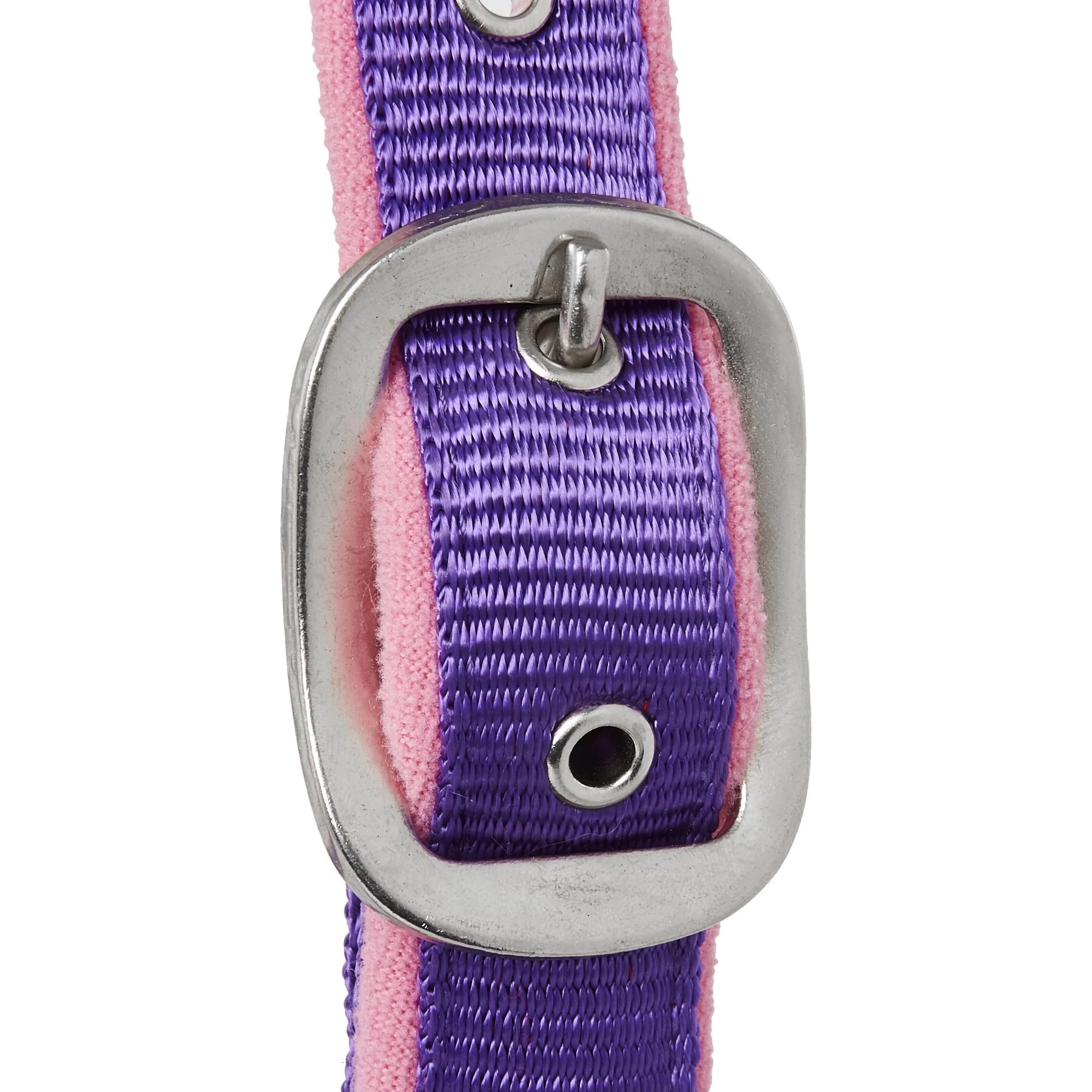 Tough-1 Nylon Padded Halter With Satin Horse Hardware, Purple 2 Tough-1 Nylon Padded Halter With Satin Horse Hardware, Purple - Image 2
