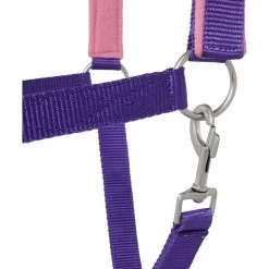 Tough-1 Nylon Padded Halter With Satin Horse Hardware, Purple 6 Tough-1 Nylon Padded Halter With Satin Horse Hardware, Purple -Horse Supplies Shop 106932 PT2. AC SS1800 V1514561608