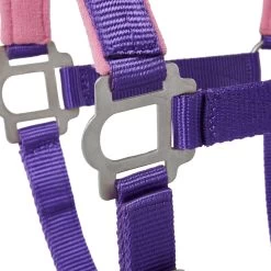 Tough-1 Nylon Padded Halter With Satin Horse Hardware, Purple 7 Tough-1 Nylon Padded Halter With Satin Horse Hardware, Purple -Horse Supplies Shop 106932 PT3. AC SS1800 V1514561628