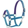 Tough-1 Nylon Padded Halter With Satin Horse Hardware, Turquoise