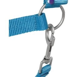 Tough-1 Nylon Padded Halter With Satin Horse Hardware, Turquoise -Horse Supplies Shop 106935 PT2. AC SS1800 V1514561649