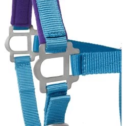 Tough-1 Nylon Padded Halter With Satin Horse Hardware, Turquoise -Horse Supplies Shop 106935 PT3. AC SS1800 V1514561653