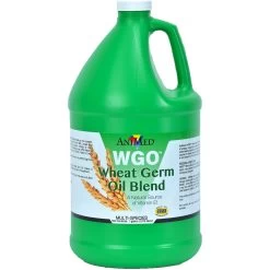 AniMed WGO Wheat Germ Oil Blend Coat Health Liquid Horse Supplement