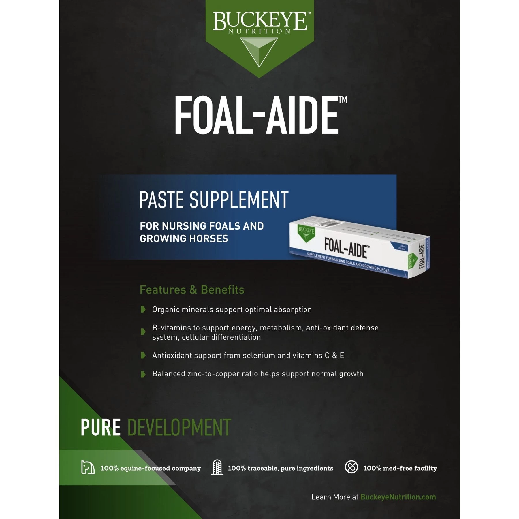 Buckeye Nutrition Foal-Aide Vitamin & Mineral Paste Horse Supplement 3 Buckeye Nutrition Foal-Aide Vitamin & Mineral Paste Horse Supplement - Image 3