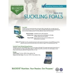 Buckeye Nutrition Foal-Aide Vitamin & Mineral Paste Horse Supplement 7 Buckeye Nutrition Foal-Aide Vitamin & Mineral Paste Horse Supplement -Horse Supplies Shop 109479 PT7. AC SS1800 V1512435180