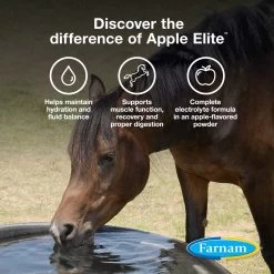 Farnam Apple Elite Electrolyte Powder Apple Flavor Horse Supplement -Horse Supplies Shop 112313 PT2. AC SS1800 V1692209685