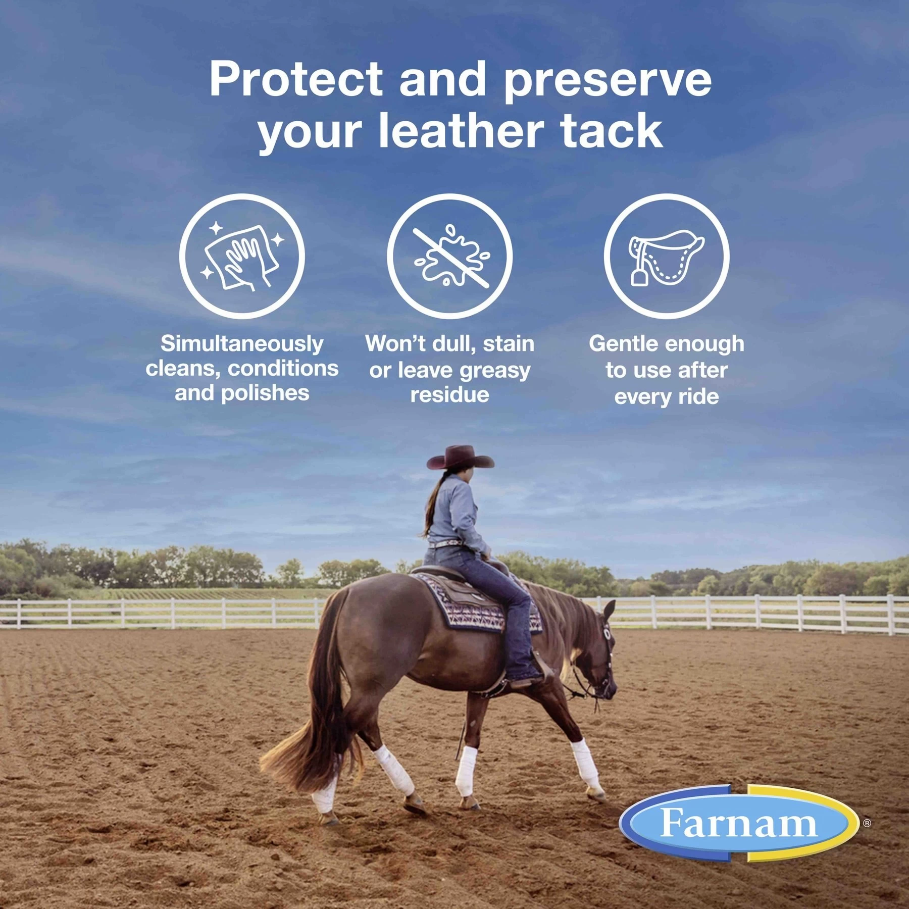 Farnam Leather New Horse Polishing Soap 3 Farnam Leather New Horse Polishing Soap - Image 3