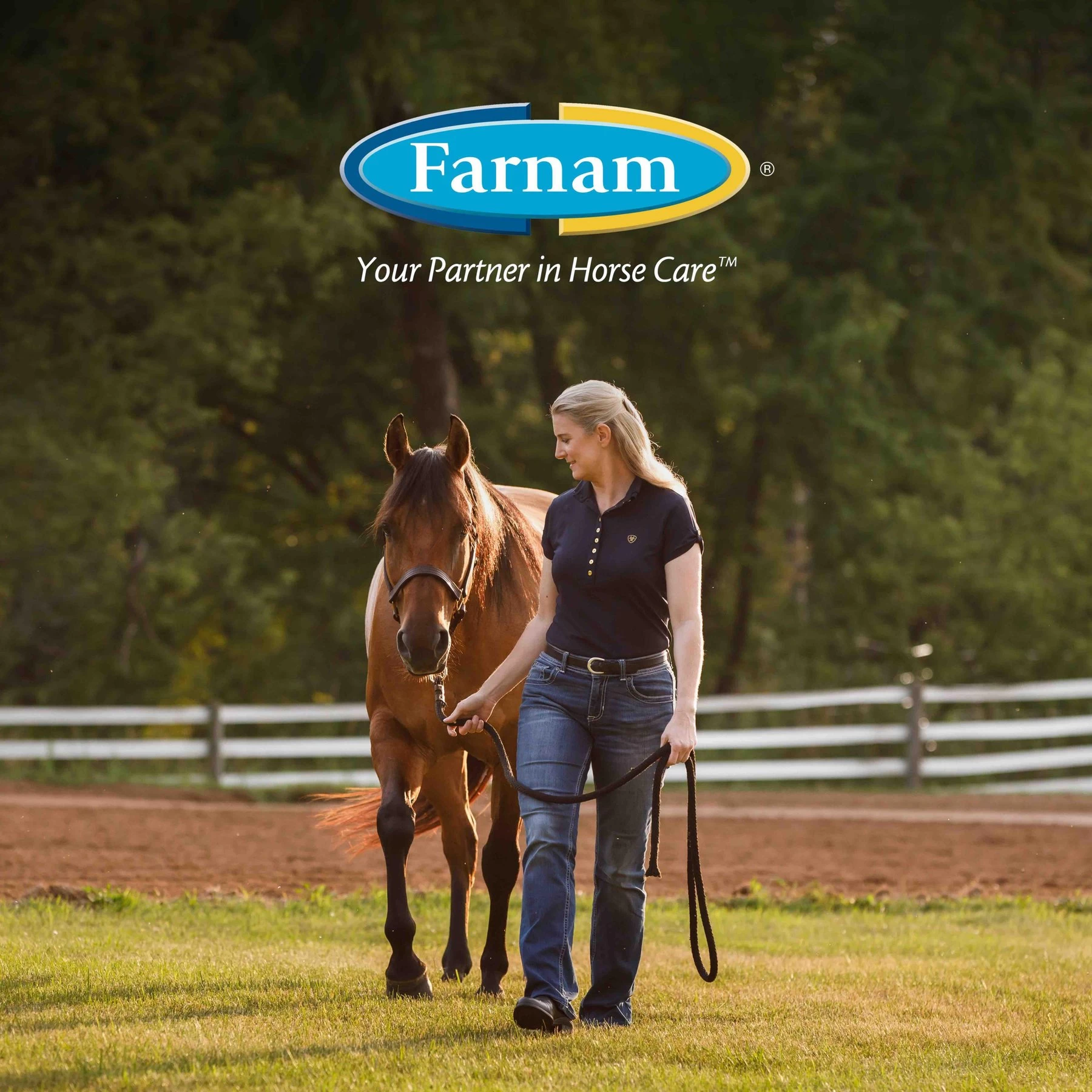 Farnam Leather New Horse Polishing Soap 7 Farnam Leather New Horse Polishing Soap - Image 7