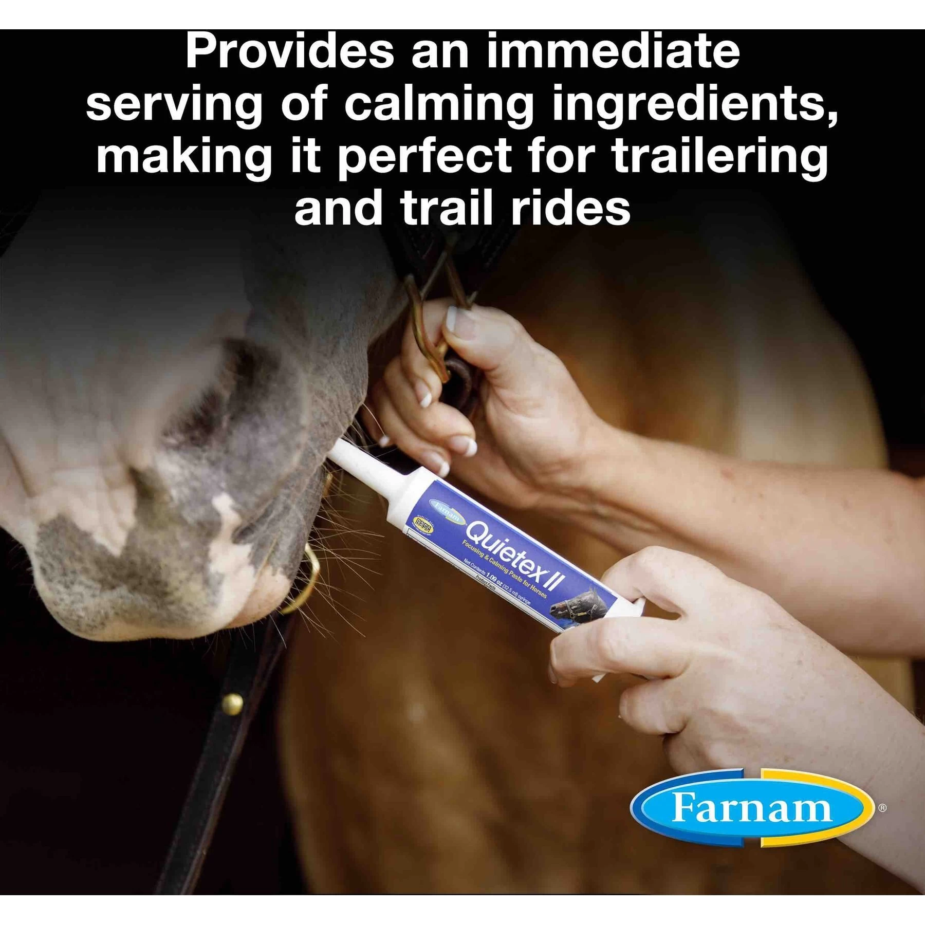 Farnam Quietex Focusing & Calming Paste Horse Supplement, 1.09-mL Syringe 2 Farnam Quietex Focusing & Calming Paste Horse Supplement, 1.09-mL Syringe - Image 2