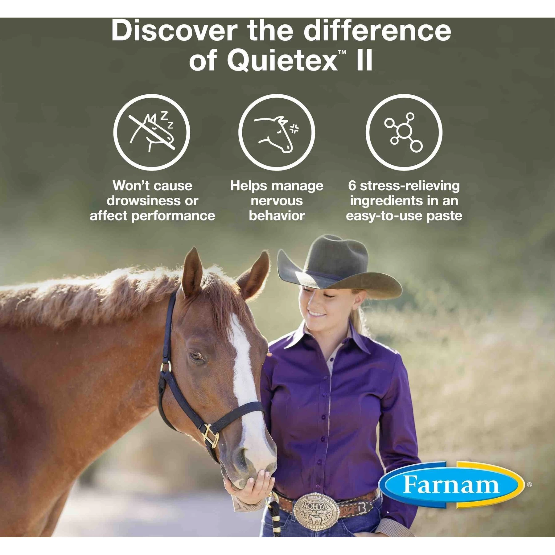 Farnam Quietex Focusing & Calming Paste Horse Supplement, 1.09-mL Syringe 3 Farnam Quietex Focusing & Calming Paste Horse Supplement, 1.09-mL Syringe - Image 3