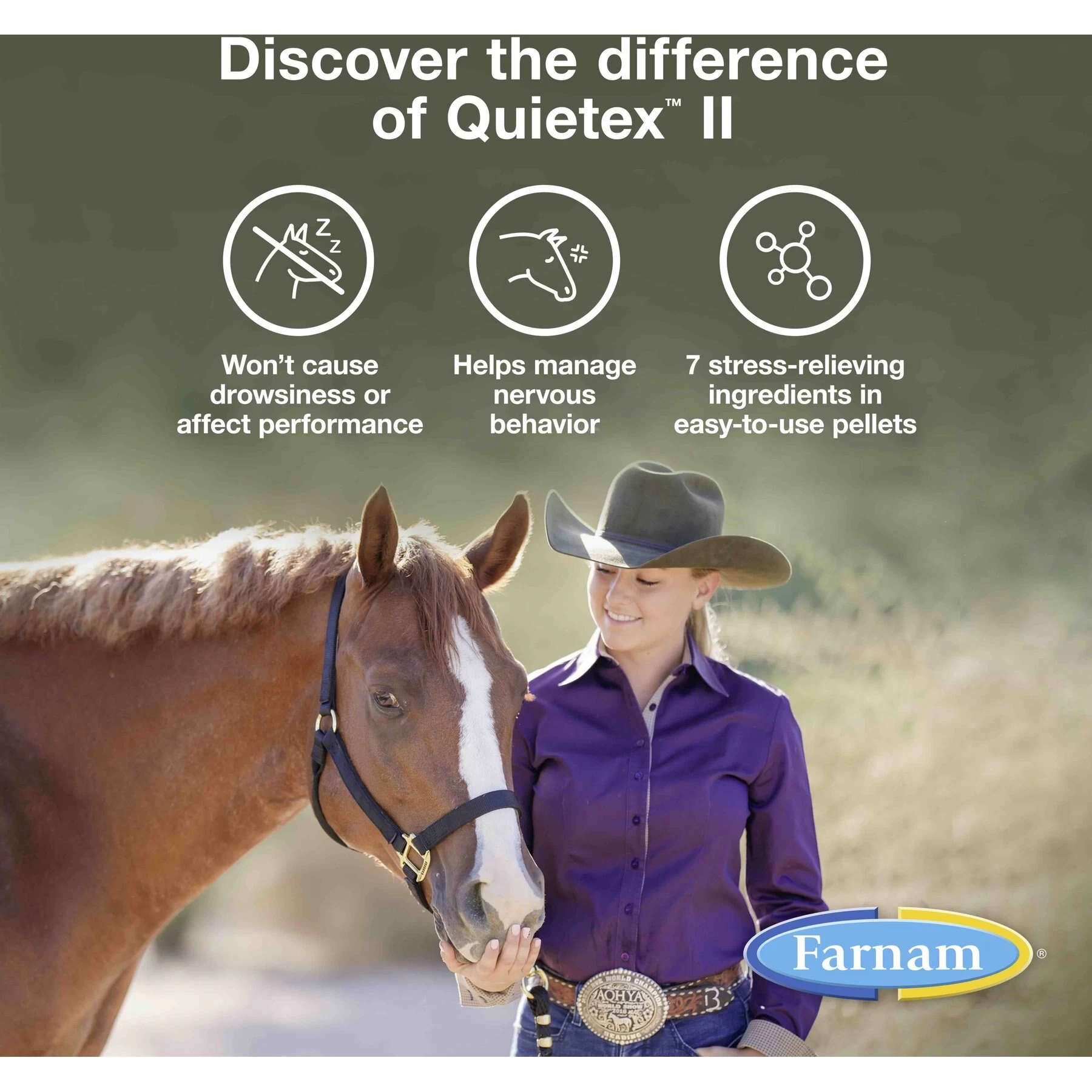 Farnam Quietex Focusing & Calming Hay Flavor Pellets Horse Supplement, 1.62-lb Tub 3 Farnam Quietex Focusing & Calming Hay Flavor Pellets Horse Supplement, 1.62-lb Tub - Image 3