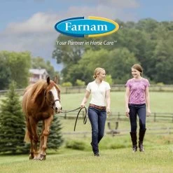 Farnam Quietex Focusing & Calming Hay Flavor Pellets Horse Supplement, 1.62-lb Tub 16 Farnam Quietex Focusing & Calming Hay Flavor Pellets Horse Supplement, 1.62-lb Tub -Horse Supplies Shop 115649 PT7. AC SS1800 V1692211566