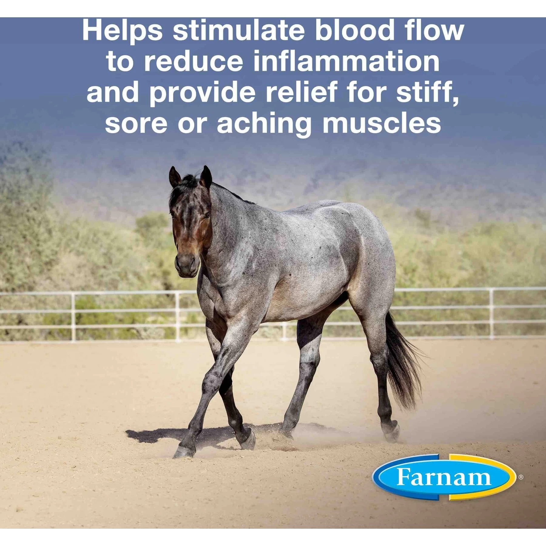 Farnam Vetrolin Sore Muscle & Joint Pain Relief Horse Liniment Concentrate 2 Farnam Vetrolin Sore Muscle & Joint Pain Relief Horse Liniment Concentrate - Image 2