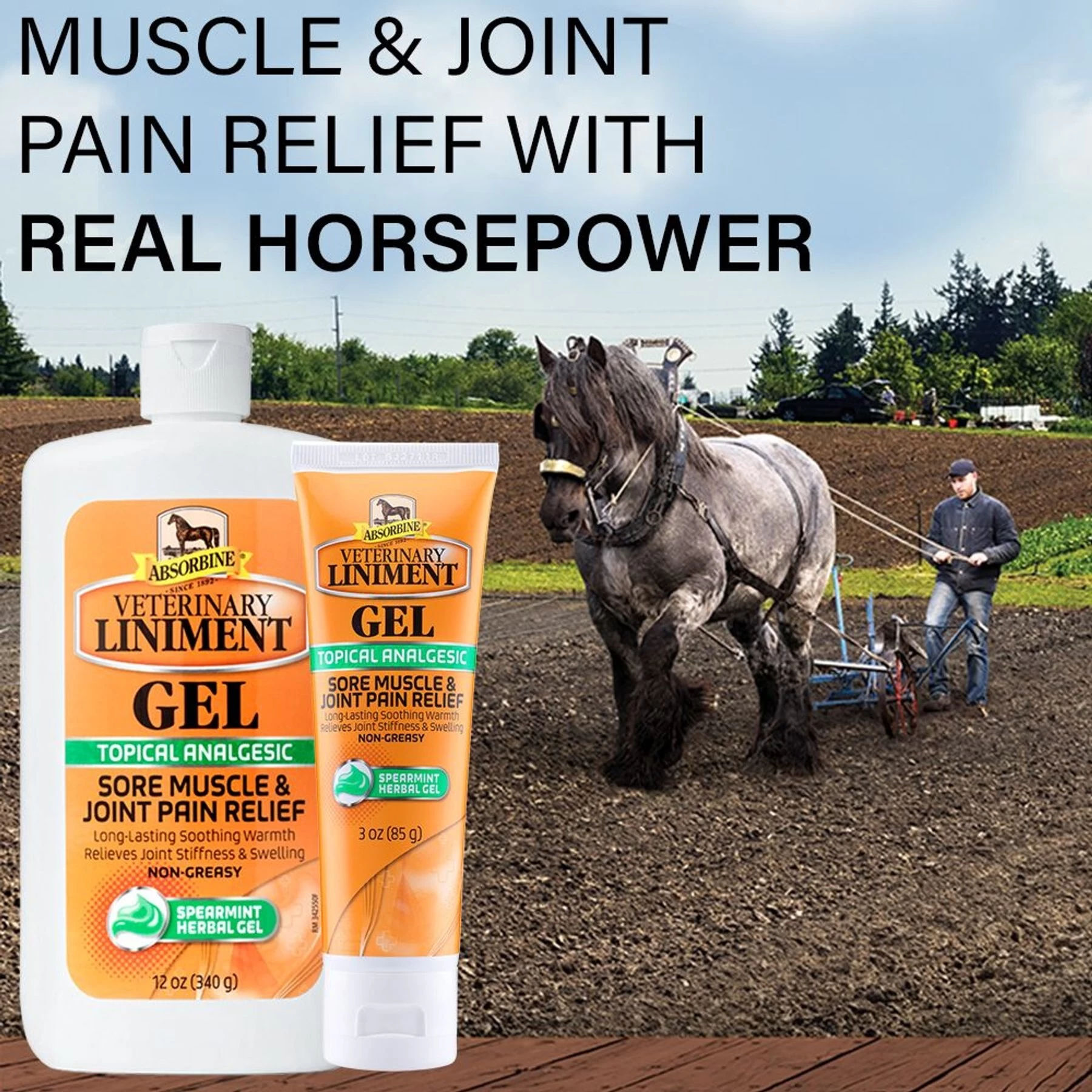 Absorbine Veterinary Sore Muscle & Joint Pain Relief Horse Liniment Gel 4 Absorbine Veterinary Sore Muscle & Joint Pain Relief Horse Liniment Gel - Image 4