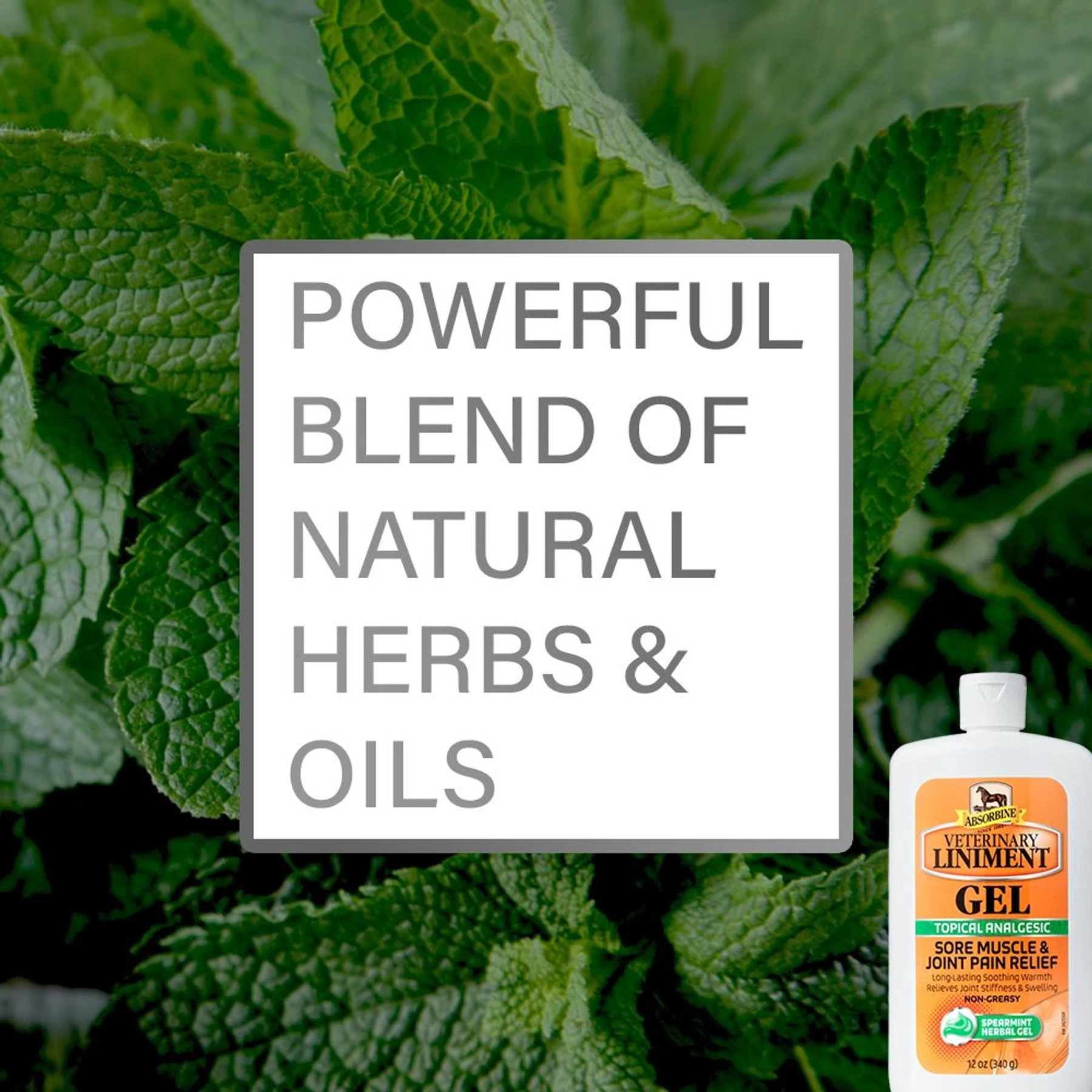 Absorbine Veterinary Sore Muscle & Joint Pain Relief Horse Liniment Gel 5 Absorbine Veterinary Sore Muscle & Joint Pain Relief Horse Liniment Gel - Image 5