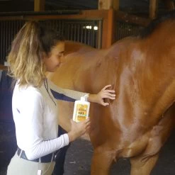 Absorbine Veterinary Sore Muscle & Joint Pain Relief Horse Liniment Gel 12 Absorbine Veterinary Sore Muscle & Joint Pain Relief Horse Liniment Gel -Horse Supplies Shop 141454 PT5. AC SS1800 V1685131543