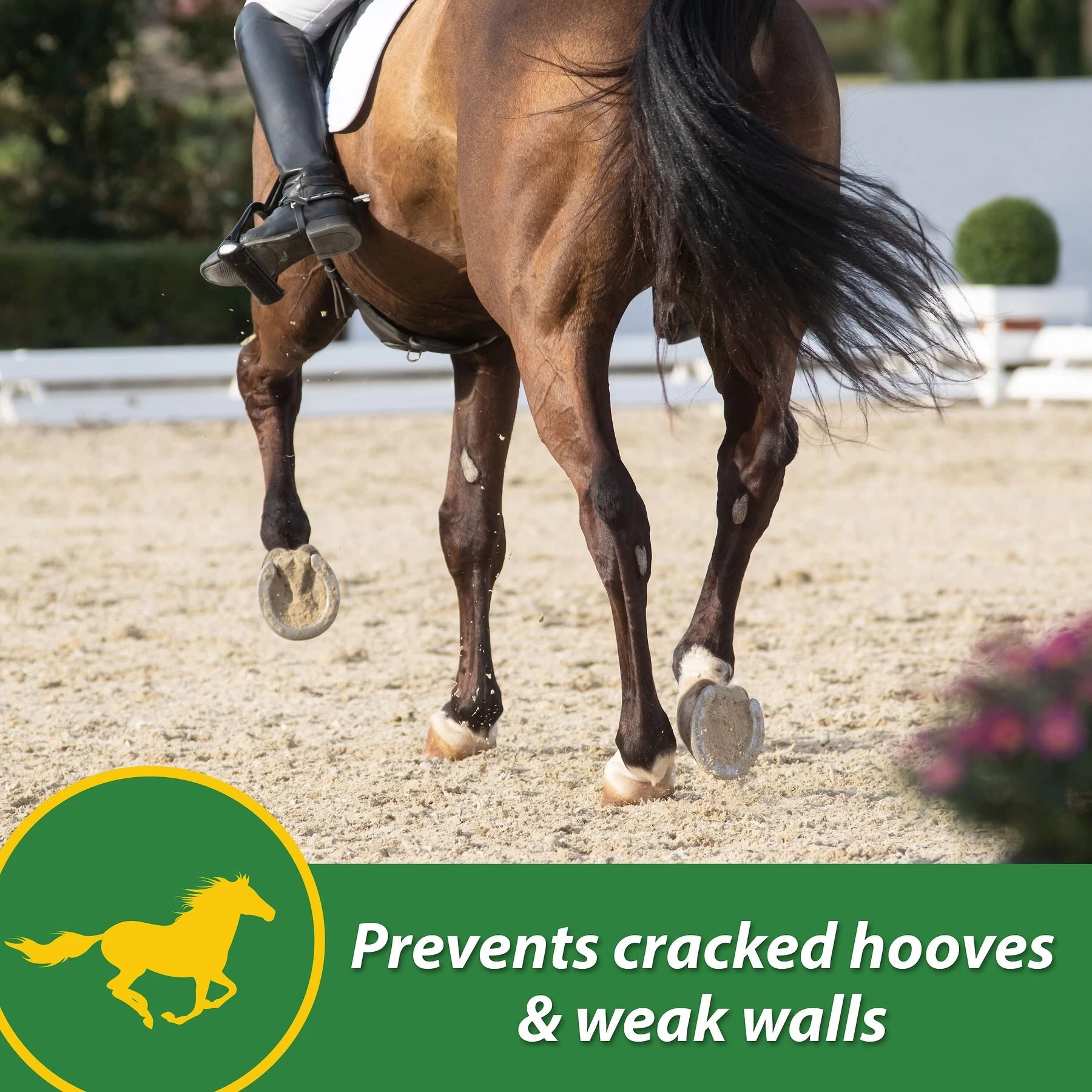 Farnam H.B. 15 Hoof Health Hay Flavor Pellets Horse Supplement 3 Farnam H.B. 15 Hoof Health Hay Flavor Pellets Horse Supplement - Image 3