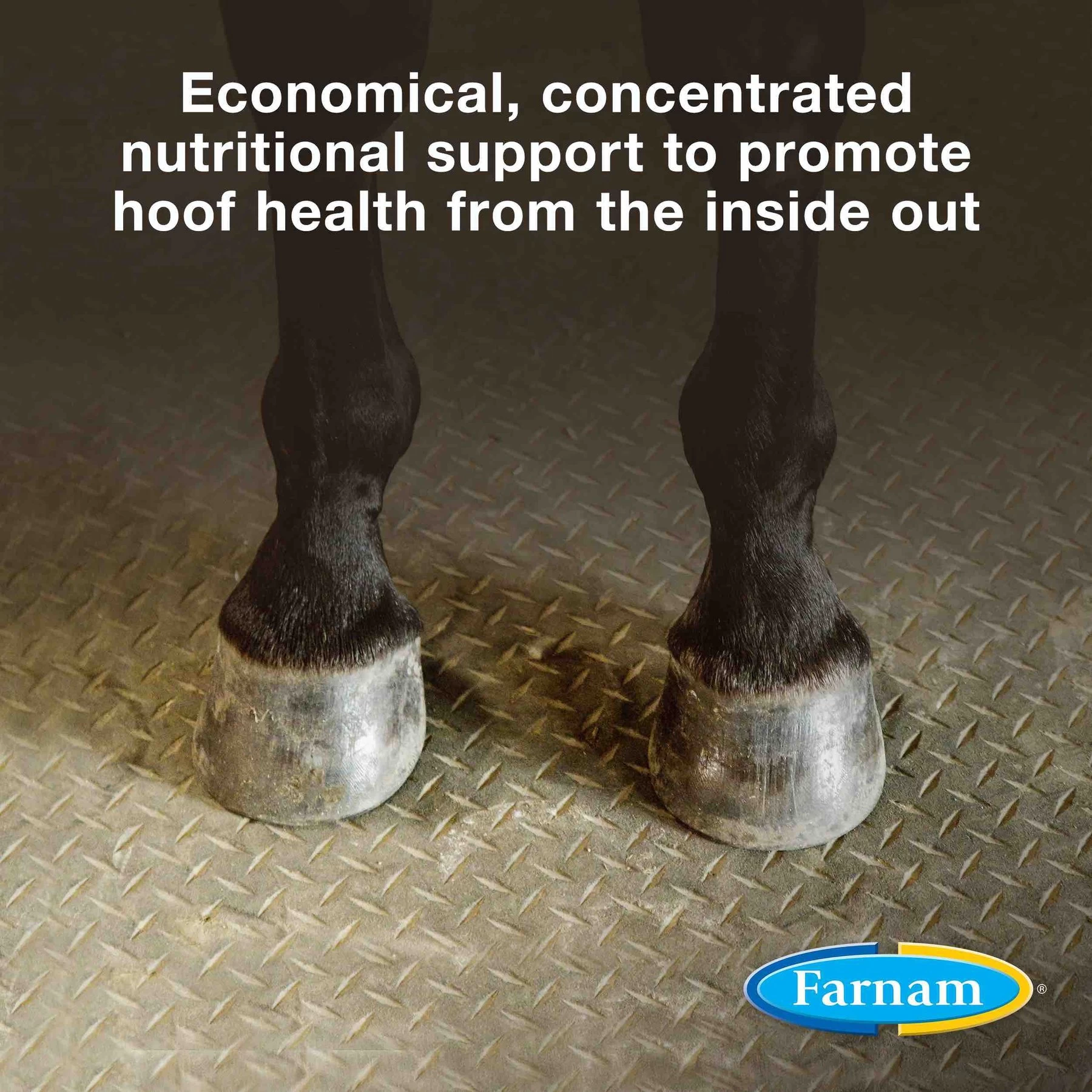 Farnam Horseshoer's Secret Pelleted Hoof Supplement Concentrate, Promotes Healthy Hoof Growth In Horses 2 Farnam Horseshoer's Secret Pelleted Hoof Supplement Concentrate, Promotes Healthy Hoof Growth In Horses - Image 2