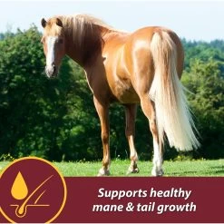 Farnam Laser Sheen Skin & Coat Horse Supplement -Horse Supplies Shop 165239 PT2. AC SS1800 V1621292845
