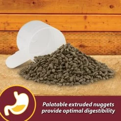 Farnam Laser Sheen Skin & Coat Horse Supplement -Horse Supplies Shop 165239 PT6. AC SS1800 V1621291369