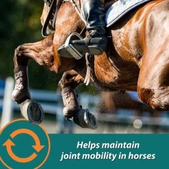 Farnam Next Level Performance Butter Flavor Pellets Horse Supplement 10 Farnam Next Level Performance Butter Flavor Pellets Horse Supplement -Horse Supplies Shop 165241 PT3. AC SS1800 V1605144726