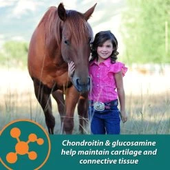 Farnam Next Level Performance Butter Flavor Pellets Horse Supplement 12 Farnam Next Level Performance Butter Flavor Pellets Horse Supplement -Horse Supplies Shop 165241 PT5. AC SS1800 V1605142626