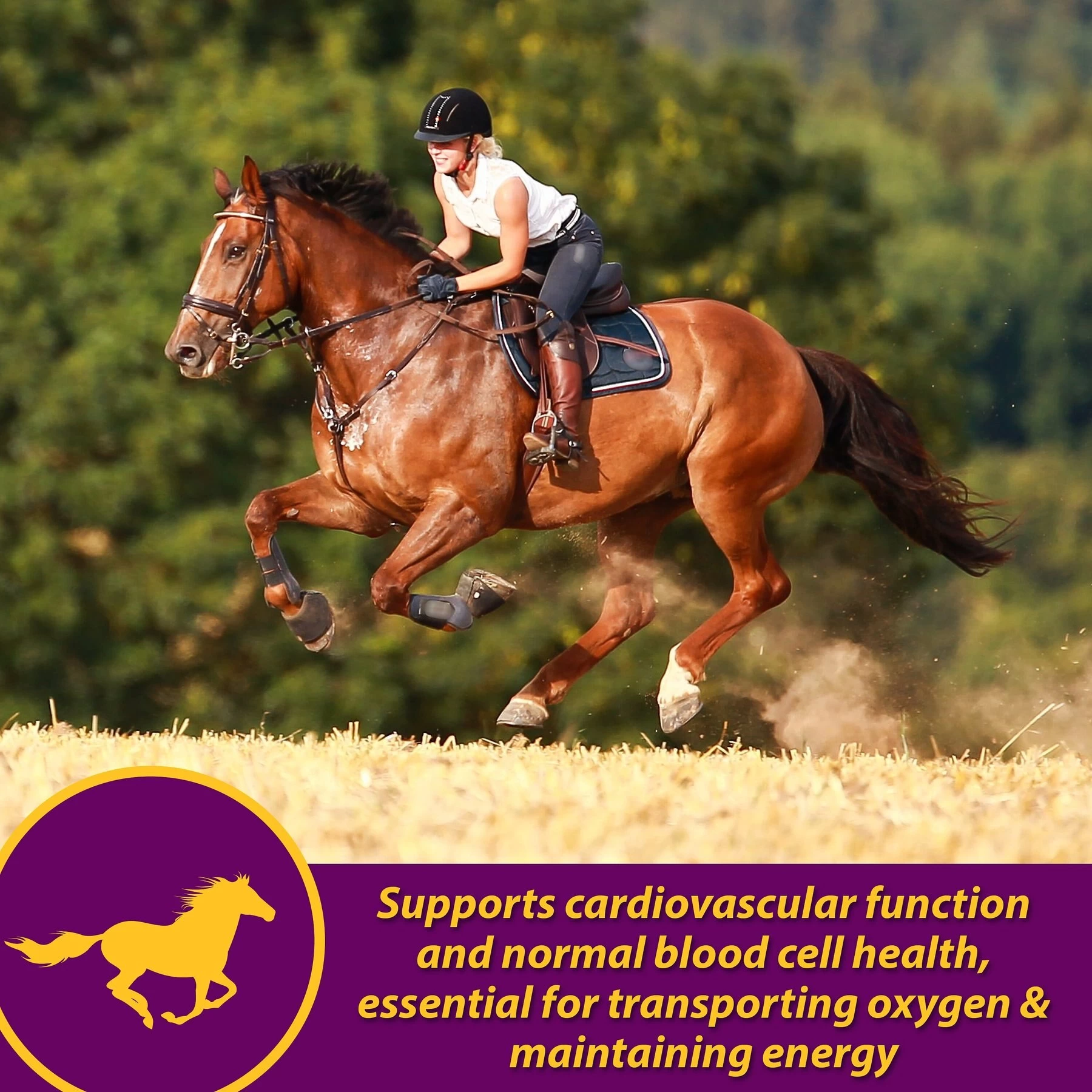 Horse Health Products Red Cell Pellets Horse Supplement, 64-day Supply 2 Horse Health Products Red Cell Pellets Horse Supplement, 64-day Supply - Image 2