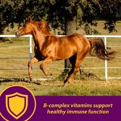 Horse Health Products Red Cell Pellets Horse Supplement, 64-day Supply 11 Horse Health Products Red Cell Pellets Horse Supplement, 64-day Supply -Horse Supplies Shop 165249 PT2. AC SS1800 V1622922773