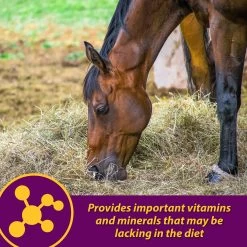 Horse Health Products Red Cell Pellets Horse Supplement, 64-day Supply 12 Horse Health Products Red Cell Pellets Horse Supplement, 64-day Supply -Horse Supplies Shop 165249 PT3. AC SS1800 V1622922799