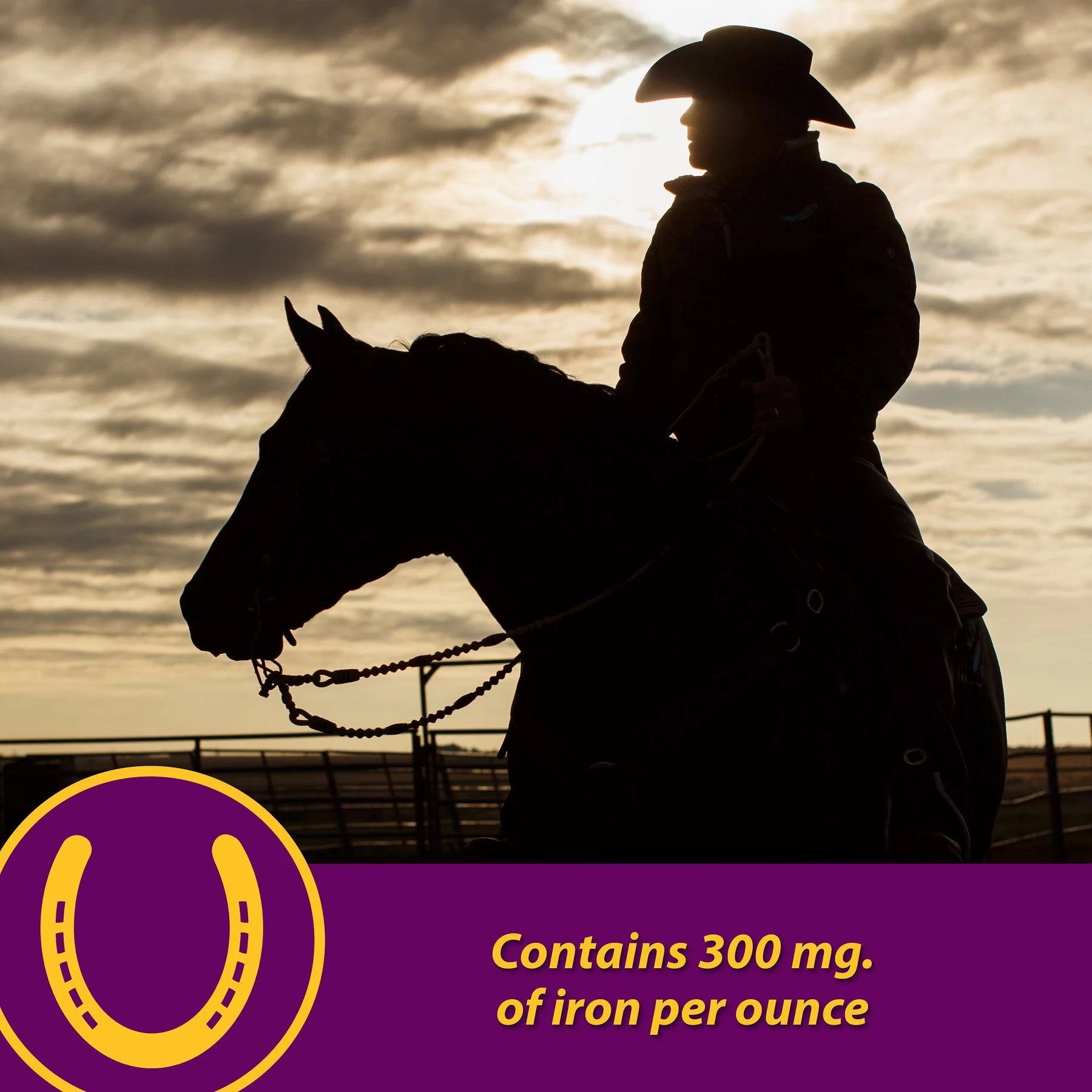 Horse Health Products Red Cell Iron Rich Vitamins & Minerals Liquid Horse Supplement 3 Horse Health Products Red Cell Iron Rich Vitamins & Minerals Liquid Horse Supplement - Image 3