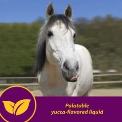 Horse Health Products Red Cell Iron Rich Vitamins & Minerals Liquid Horse Supplement 11 Horse Health Products Red Cell Iron Rich Vitamins & Minerals Liquid Horse Supplement -Horse Supplies Shop 165251 PT4. AC SS1800 V1556212928