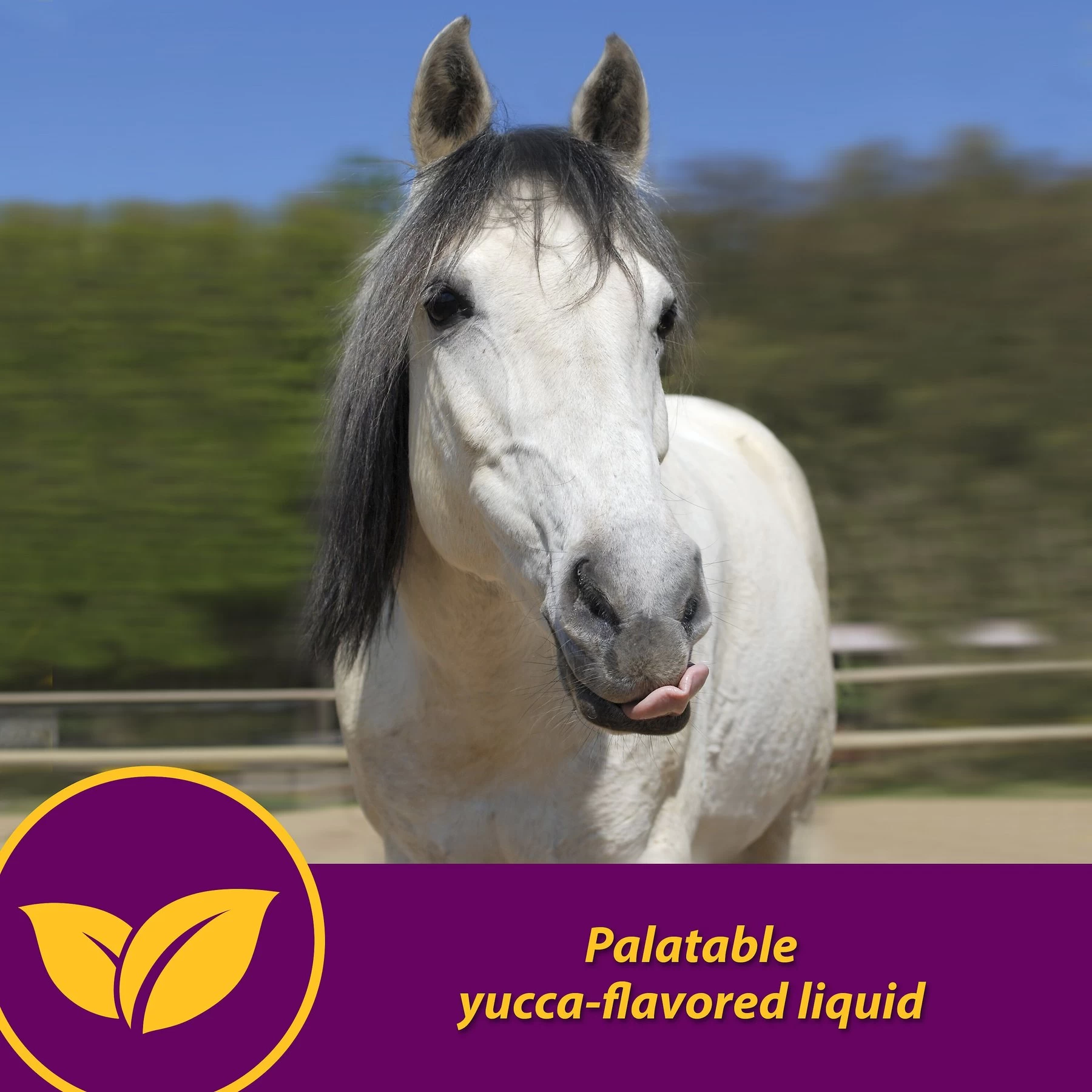 Horse Health Products Red Cell Iron Rich Vitamins & Minerals Liquid Horse Supplement 4 Horse Health Products Red Cell Iron Rich Vitamins & Minerals Liquid Horse Supplement - Image 4