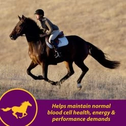 Horse Health Products Red Cell Iron Rich Vitamins & Minerals Liquid Horse Supplement 12 Horse Health Products Red Cell Iron Rich Vitamins & Minerals Liquid Horse Supplement -Horse Supplies Shop 165251 PT5. AC SS1800 V1556212933
