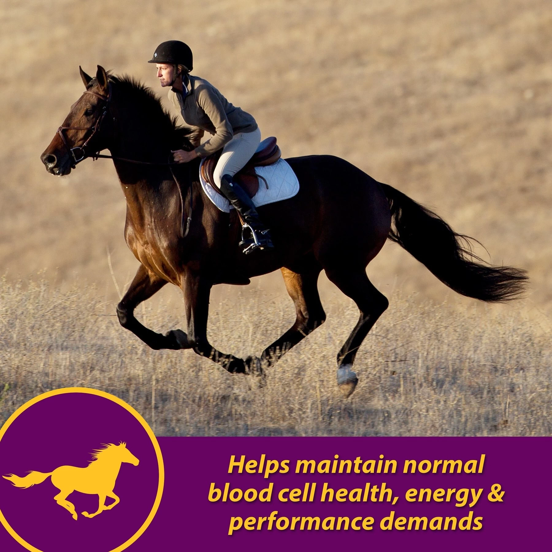 Horse Health Products Red Cell Iron Rich Vitamins & Minerals Liquid Horse Supplement 5 Horse Health Products Red Cell Iron Rich Vitamins & Minerals Liquid Horse Supplement - Image 5