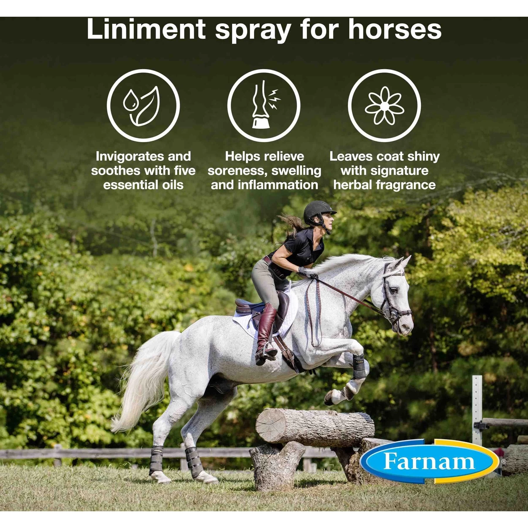 Farnam Vetrolin Sore Muscle & Joint Pain Relief Horse Liniment Spray 3 Farnam Vetrolin Sore Muscle & Joint Pain Relief Horse Liniment Spray - Image 3