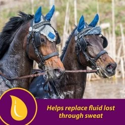 Horse Health Products Apple-Dex Electrolyte Apple Flavor Powder Horse Supplement -Horse Supplies Shop 165274 PT2. AC SS1800 V1614709034