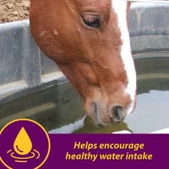 Horse Health Products Apple-Dex Electrolyte Apple Flavor Powder Horse Supplement -Horse Supplies Shop 165274 PT3. AC SS1800 V1614706033