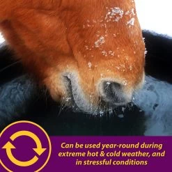 Horse Health Products Apple-Dex Electrolyte Apple Flavor Powder Horse Supplement -Horse Supplies Shop 165274 PT4. AC SS1800 V1614698195