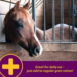 Horse Health Products Apple-Dex Electrolyte Apple Flavor Powder Horse Supplement -Horse Supplies Shop 165274 PT5. AC SS1800 V1614706022