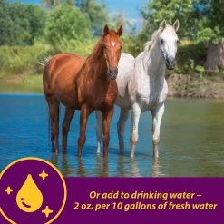 Horse Health Products Apple-Dex Electrolyte Apple Flavor Powder Horse Supplement -Horse Supplies Shop 165274 PT6. AC SS1800 V1614710508
