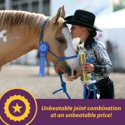 Horse Health Products Joint Combo Classic Pellets Horse Supplement 10 Horse Health Products Joint Combo Classic Pellets Horse Supplement -Horse Supplies Shop 165276 PT2. AC SS1800 V1657656047