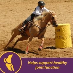 Horse Health Products Joint Combo Classic Pellets Horse Supplement 11 Horse Health Products Joint Combo Classic Pellets Horse Supplement -Horse Supplies Shop 165276 PT3. AC SS1800 V1657656047