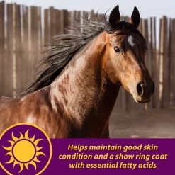 Horse Health Products Joint Combo Hoof & Coat 3-in-1 Apple Flavor Pellets Horse Supplement -Horse Supplies Shop 165280 PT5. AC SS1800 V1556213313