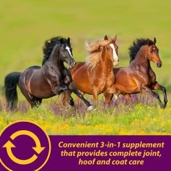 Horse Health Products Joint Combo Hoof & Coat 3-in-1 Apple Flavor Pellets Horse Supplement -Horse Supplies Shop 165280 PT7. AC SS1800 V1614803831