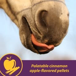 Horse Health Products Joint Combo Hoof & Coat 3-in-1 Apple Flavor Pellets Horse Supplement -Horse Supplies Shop 165280 PT8. AC SS1800 V1614805602