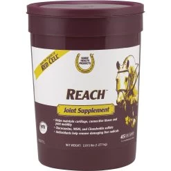 Horse Health Products Reach Joint Hay Flavor Pellets Horse Supplement, 2.81-lb Bucket