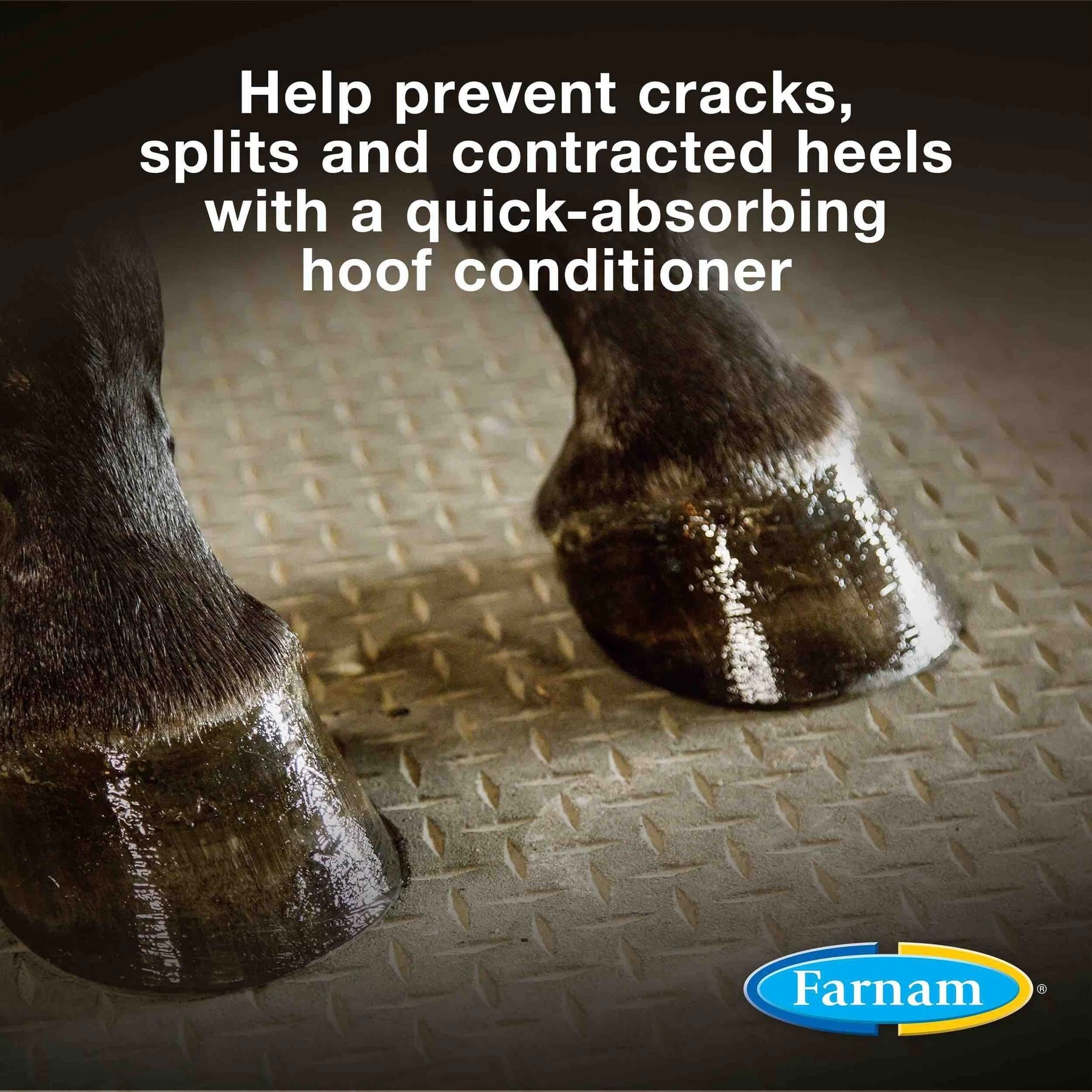 Farnam Horseshoer's Secret Horse Hoof Care Hoof Conditioner 2 Farnam Horseshoer's Secret Horse Hoof Care Hoof Conditioner - Image 2