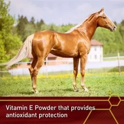 Vita Flex Pro E-5000 Premium Quality Vitamin E Immune Support Granules Horse Supplement, 4-lb Bucket -Horse Supplies Shop 165295 PT2. AC SS1800 V1644969691