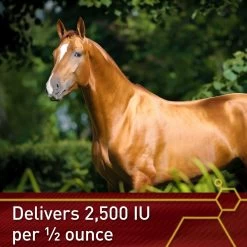 Vita Flex Pro E-5000 Premium Quality Vitamin E Immune Support Granules Horse Supplement, 4-lb Bucket -Horse Supplies Shop 165295 PT3. AC SS1800 V1644967297