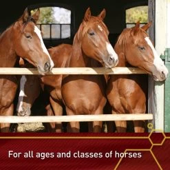 Vita Flex Pro E-5000 Premium Quality Vitamin E Immune Support Granules Horse Supplement, 4-lb Bucket -Horse Supplies Shop 165295 PT4. AC SS1800 V1644970347